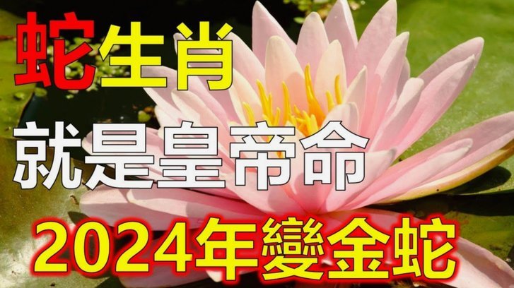 希勒：目前利物浦和曼联的状态未达预期，很难踢出精彩水准