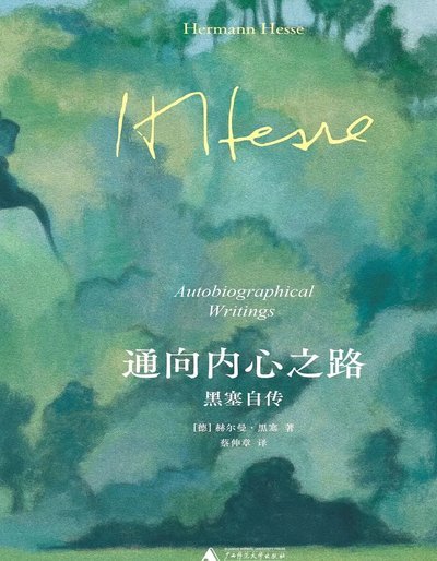 我洞悉了董路内心深处的痛苦