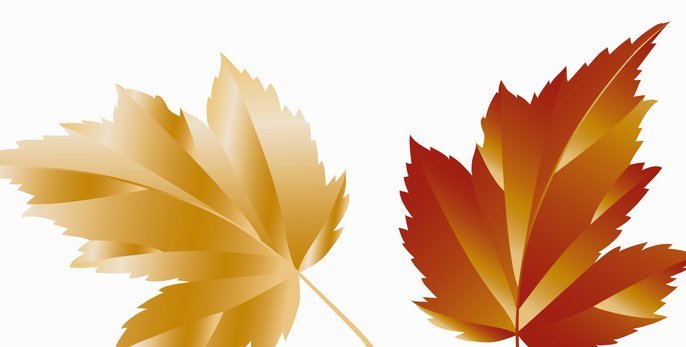 热苏斯透露想留下：仅差3球，他或将改写英超历史射手纪录